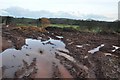 East Devon : Muddy Field