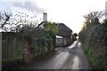 East Devon : Country Lane