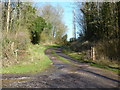 Entrance to track to Lower House, between Onen and Tal-y-coed