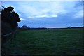 Mid Devon : Grassy Field