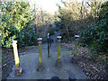 Steps in Maryon Wilson Park