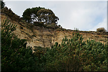 SZ0589 : Canford Cliffs, Dorset by Peter Trimming