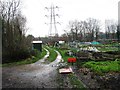 Allotment gardens