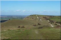 SP9516 : View to Ivinghoe Beacon from Steps Hill by Rob Farrow