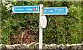 J3582 : National Cycle Network signs, Whiteabbey by Albert Bridge
