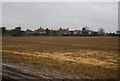 Farmland near Blakeney