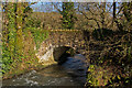 A bridge over the river Mole at Heasley Mill as seen from downstream