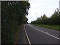 Twycross Road (A444)