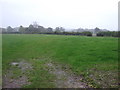 Farmland off Upton Lane