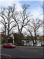 Bus stop by Chislehurst Pond