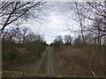 The Bootle Branch Line viewed from Prescot Road