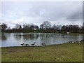 Newsham Park model boat lake