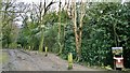 Path through Holmesfield Wood, off Fanshaw Gate Lane