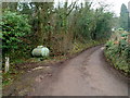 Calor Gas cylinder in Little Doward