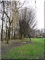 Trees in Debdale Park