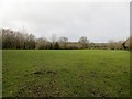 Field near Bagley Head