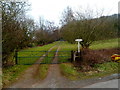 Entrance to the Kiln House, The Doward