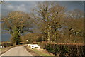 Winter sunshine on Grange Plantation of oak treas