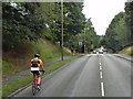 Cyclist on Cullum Road