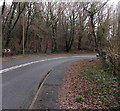 Wooded section of Cwmbach Road, Aberdare