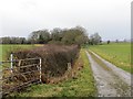 Farm road, Bearwood