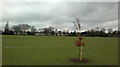 View of Raphael and Lynton Houses from South Park