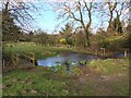 Cattle Ford at Tealby