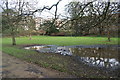 A poorly drained part of Dulwich Park