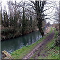SO7805 : Stroudwater Canal and path NW of Top Lock of Five by Jaggery