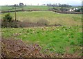 Fields near Abbotskerswell