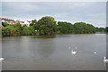 Mill Pond, Pembroke River