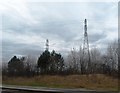 SK3030 : Pylons near Findern by Anthony Parkes