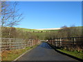 TQ3609 : Housedean Farm Bridge by Simon Carey