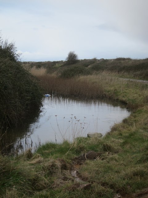 Drainage ditch behind the sea wall at Stolford