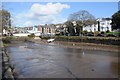 Low tide at Kingsbridge