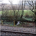 Small stream under Fernhill railway station