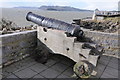 SX4853 : Cannon at the Citadel by Philip Halling