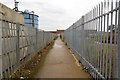 The Thames Path by Bay Wharf