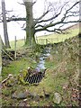 Stream and drain near Hazelhurst Farm