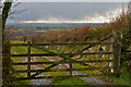 A five bar gate near Little Berry Down on Bodmin Moor