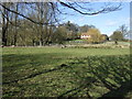 Grazing near the River Mimram