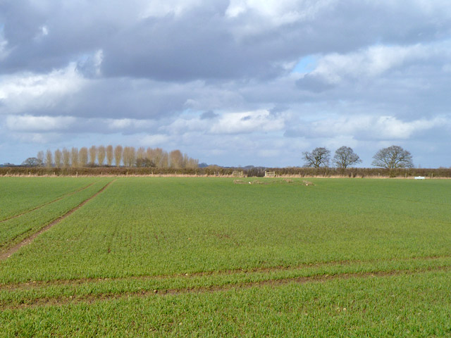 flat-landscape-robin-webster-cc-by-sa-2-0-geograph-britain-and-ireland