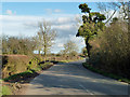 Road towards Steeple Claydon