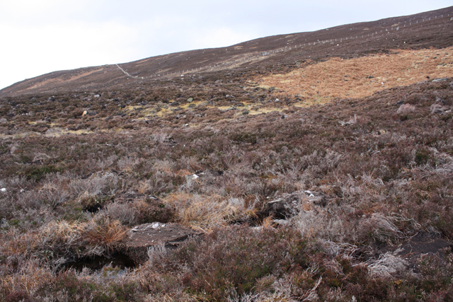 Moorland south of Cnoc an t-Sid Mor
