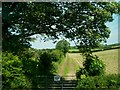 Field gate on the Ballydugan Road