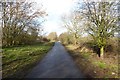 Start of Ripley greenway