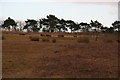 Disused and infilled quarry near Calceby, on the A16