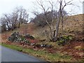 Roadside ruin, Strome