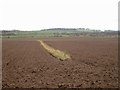 Field boundary near Lower St Johns