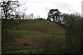 Field on the side of the valley